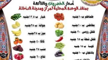 أسعار الخضروات والفاكهة بالوادى الجديد: الطماطم بـ10 جنيهات فقط